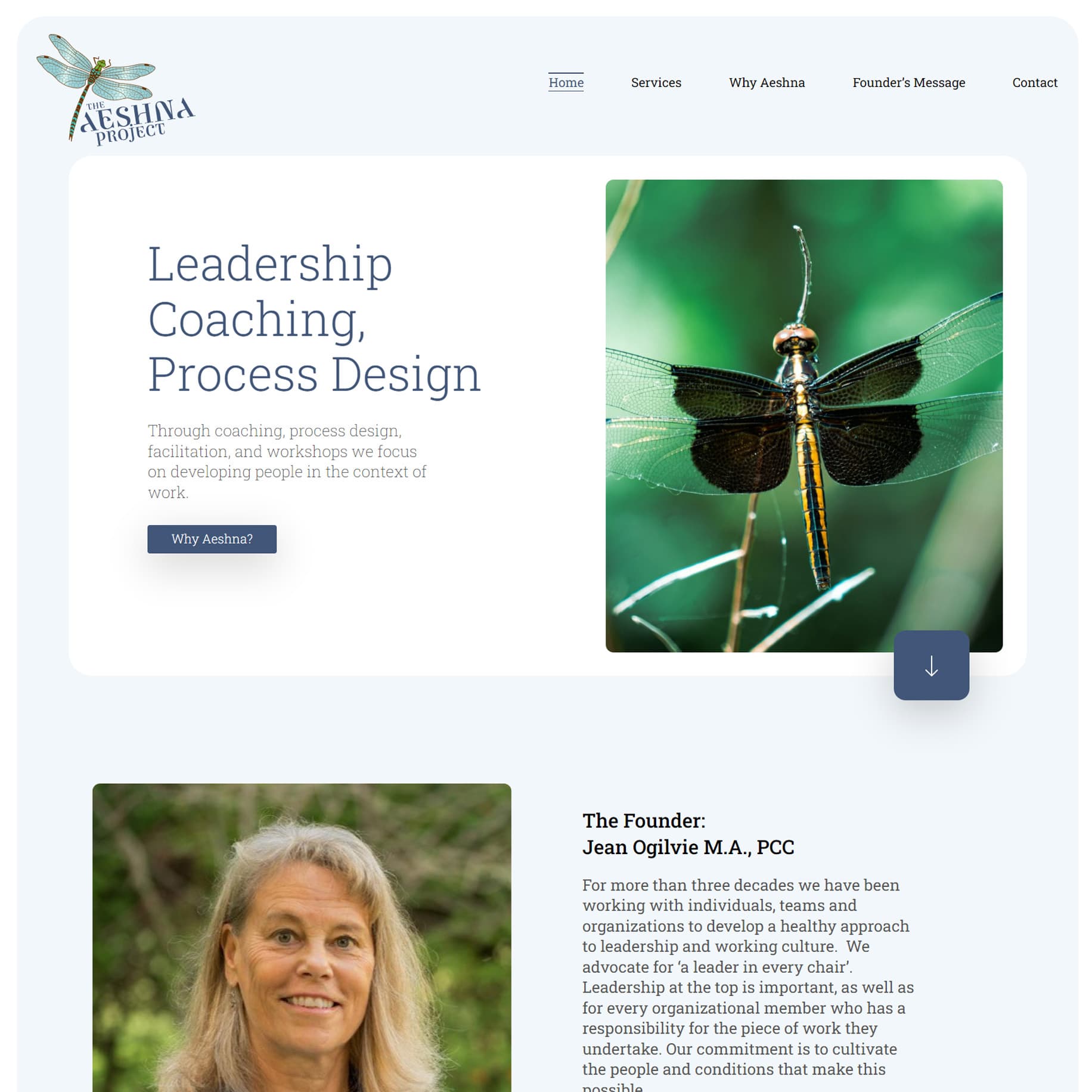 Aeshna Project